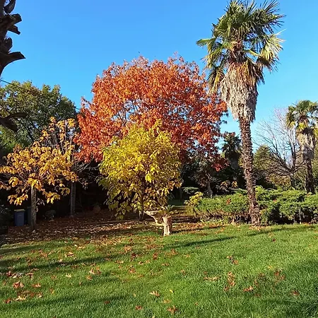 Bed & Breakfast La Canette De Phil - D'hotes, Independante - Vue Sur Piscine 3*