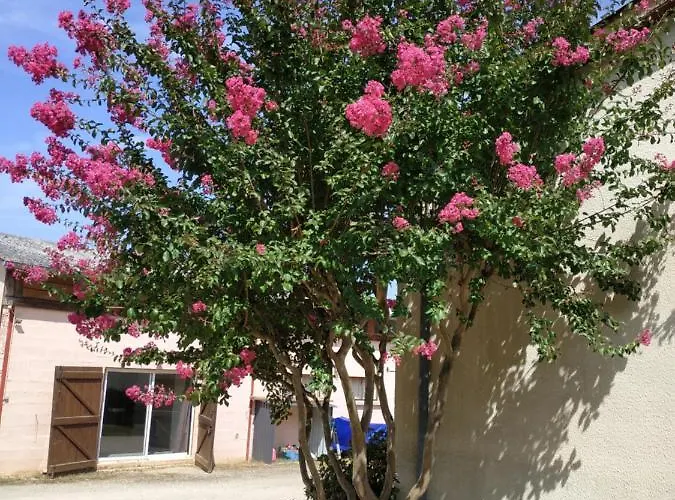 La Canette De Phil - D'hotes, Independante - Vue Sur Piscine 住宿加早餐酒店