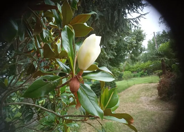 La Canette De Phil - D'hotes, Independante - Vue Sur Piscine 住宿加早餐酒店 萨马坦