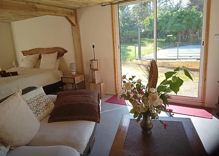 La Canette De Phil - D'hotes, Independante - Vue Sur Piscine 3* 萨马坦