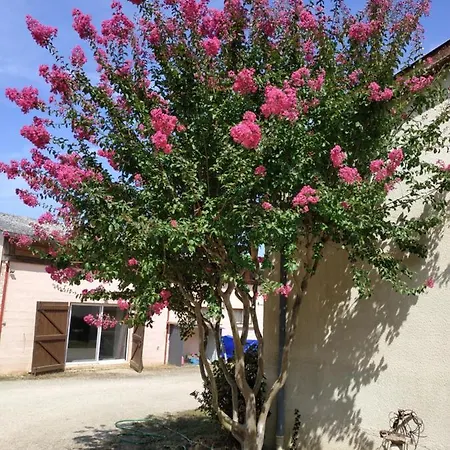 La Canette De Phil - D'hotes, Independante - Vue Sur Piscine Frühstückspension