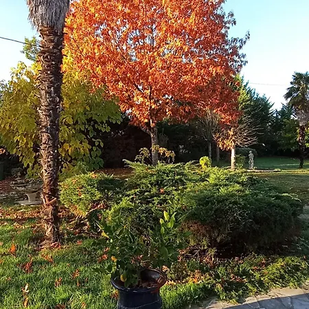 La Canette De Phil - D'hotes, Independante - Vue Sur Piscine