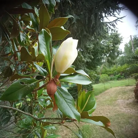 La Canette De Phil - D'hotes, Independante - Vue Sur Piscine Frühstückspension Samatan