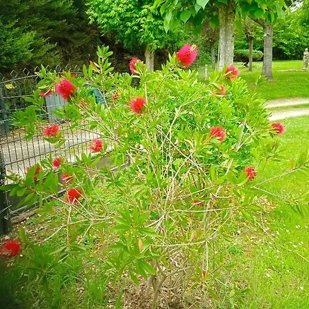 Frühstückspension La Canette De Phil - D'hotes, Independante - Vue Sur Piscine