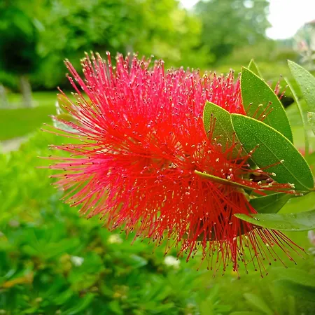 La Canette De Phil - D'hotes, Independante - Vue Sur Piscine